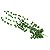 FOLHAGEM DE UVA EJ-0014 - Imagem 2
