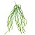 PENDENTE DE SUCULENTA CD-0065 - Imagem 1