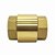 Valvula Retenção Universal Vertical 1"x1" Polegada FxF BSP Druck - Imagem 2
