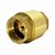 Valvula Retenção Universal Vertical 1"x1" Polegada FxF BSP Druck - Imagem 1
