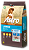 Astro Junior - Imagem 1