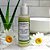 Loção Refrescante 200 ml - Aloe Vera + Camomila + Cúrcuma + Óleo de Coco de Babaçú - Imagem 1
