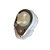 Redutore C/ Motor Carro Eletrico Gaucho Xp 24v Original - Imagem 7