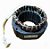 ESTATOR PIVO1100 1/6 127V - Imagem 1