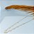 Choker Perolado - Imagem 1