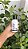 Mini Spume Shampoo Suave - Curly Care - 100ml - Imagem 1