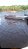 Alugo Bote com motor 15hp - Imagem 2