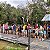 ☀️🌴 Safári Amazônico : Encontro das Águas - Imagem 3