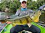 Recanto do Rei Lodge ( Rio Urubu pesca e hospedagem) - Imagem 6