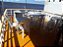 Barco Hotel Paloma - Imagem 16
