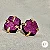 Brinco Purpurita Dourado - Fixo - Imagem 1