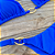 Biquíni  Aquarius Azul Royal - Imagem 5