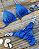 Biquíni Laguna Blue Jeans - Imagem 4