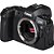 Câmera Canon EOS RP Mirrorless Corpo com Adaptador Canon Mount EF-EOS R para Lentes Canon EF - Imagem 8