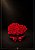 Box Coração Signature – Rosas Vermelhas - Imagem 1