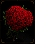Buquê Encanto Real - Imagem 1