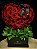 Box Icon - Imagem 2