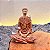 São Francisco de Assis Meditando - Imagem 1
