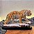 Tigre - Imagem 2