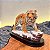 Tigre - Imagem 1