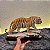 Tigre - Imagem 4