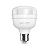 Lampada Led Bulbo 30w Luz Branco-frio 6500k E27 Lumanti - Imagem 2
