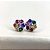 Brinco flor pequena aravejada com zircônias coloridas rainbow em prata 925 com banho de ouro 18k ou ródio branco - Imagem 13