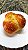 Mini Challah - Imagem 7