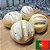 Broinhas de milho portuguesas (PORTUGAL) - Imagem 1