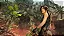 Shadow Of The Tomb Raider + Tomb Raider 2013 Definitive Edition para ps4 em mídia digital - Imagem 3