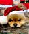 GORRO NATAL - Imagem 1