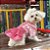 Saia c/ blusa coelha Rosa - Imagem 1