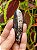 Othocera - Cod. VAR 903 - Imagem 1