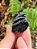 Obsidiana - Cod. OB 120 - Imagem 1