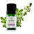 Óleo Essencial TerraFlor 5ml - Escolha o seu! - Imagem 4