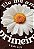 T-SHIRT FEMININA - MARGARIDA ELE ME AMOU - COR MARROM - Imagem 4