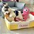 Cesto organizador para pets - Imagem 1