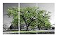 Quadro Digital Arvore Verde - Trio - 60x120 (3 pçs 40x60) - Imagem 1