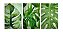 Quadro Folhas Verdes I - diversos tamanhos - Imagem 1