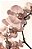 Quadro Orquidea Rosa Gold - Imagem 1