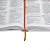 A Bíblia das Descobertas - Capa ilustrada violeta: Nova Tradução na Linguagem de Hoje (NTLH), de Sociedade Bíblica do Br - Imagem 4