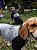Cãomiseta The Beagles - Imagem 4