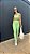 Conjunto Nicole - Imagem 1