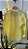 Camisa amarelo manteiga - Imagem 4