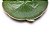 Prato Cerâmica Banana Leaf Verde 16 x 16 x 3 cm - Oiti Casa - Imagem 3