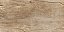 PORC.ELIZ.ANTIQUE WOOD AMBER HD 50X101 1,51 - Imagem 2