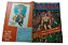 TARZAN 12ª SERIE Nº 27 - EBAL - Imagem 3
