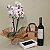 Kit Vinho D.V. Catena, Orquídea Branca & Chocolates - Imagem 2