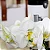 Kit Vinho Espanhol, Orquídea Branca & Chocolates Finos - Imagem 6
