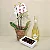 Kit Freixenet Brut, Orquídea & Bolsa Resort - Imagem 4